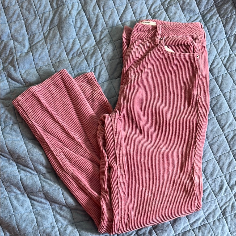 PacSun Blush Corduroy Trousers